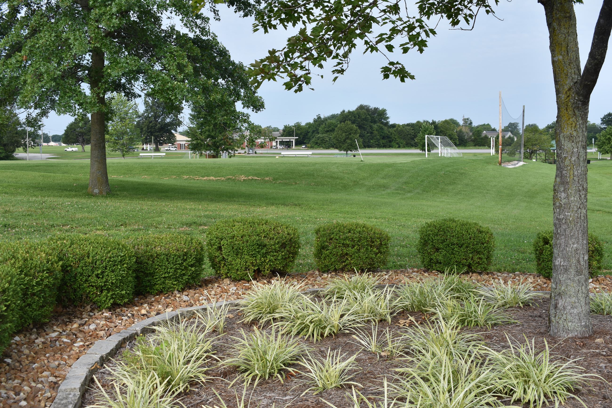 athletic fields.JPG 1